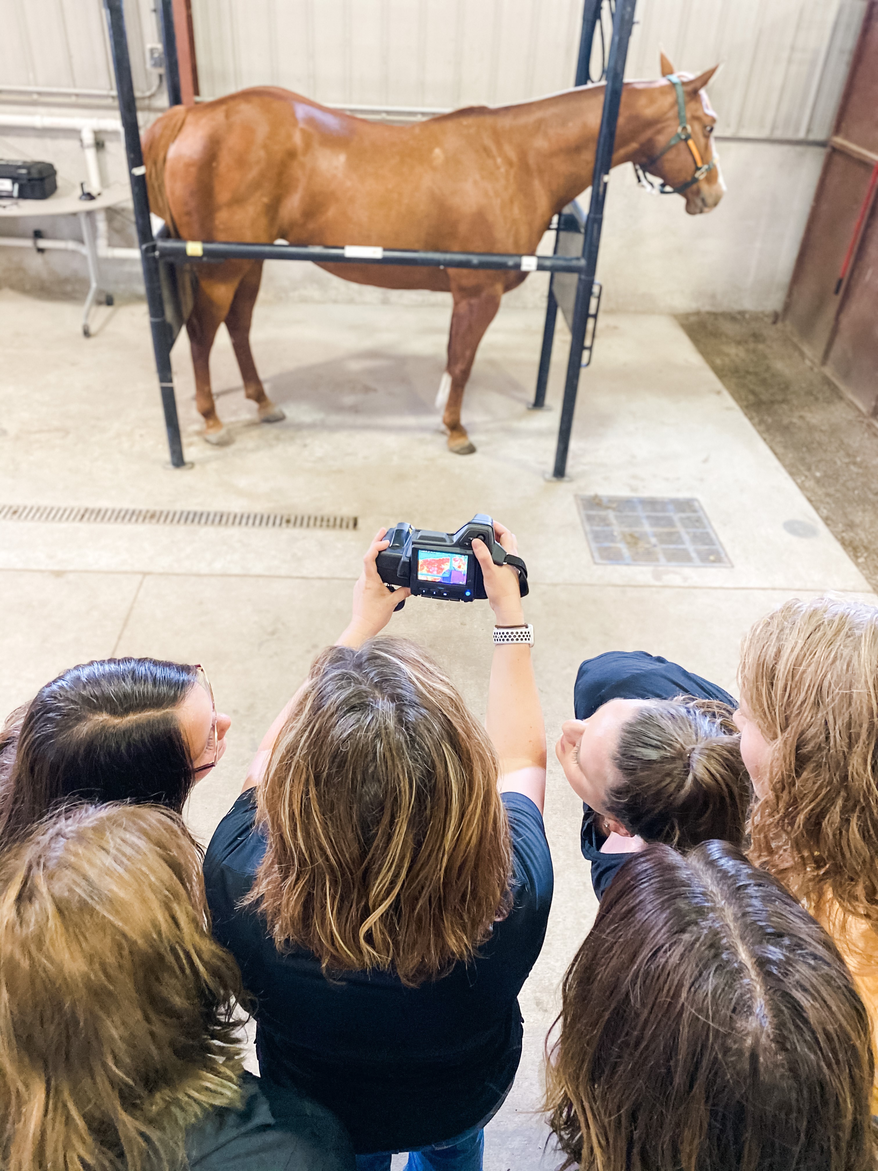 Equine Science